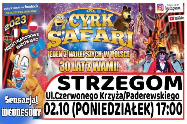 Cyrk Safari Strzegom