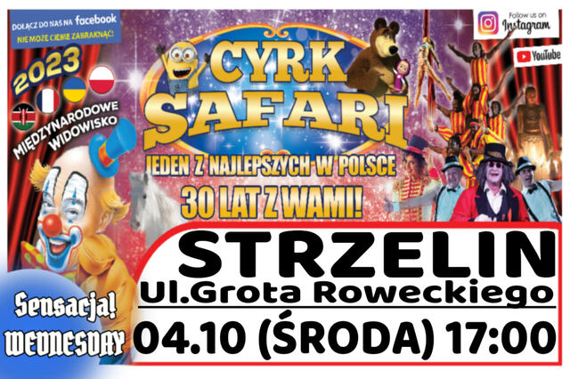 Cyrk Safari Strzelin