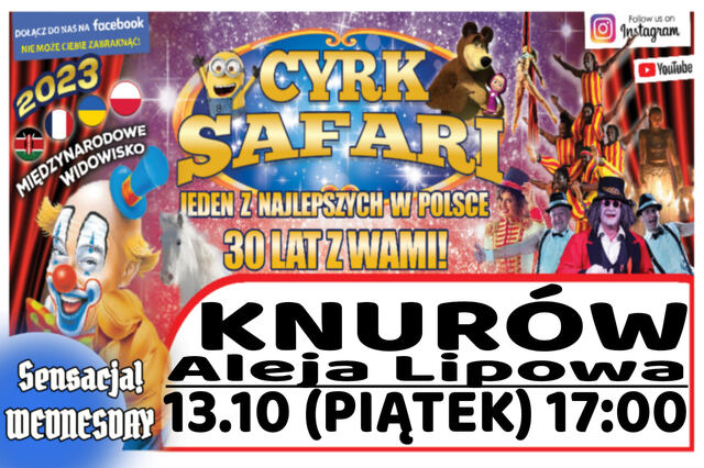 Cyrk Safari Knurów