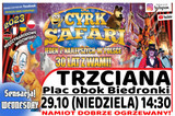 Trzciana Cyrk Safari