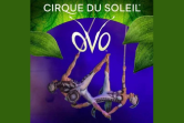 Cirque du Soleil Gliwice